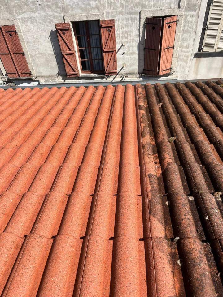 Démoussage de toiture Clermont-Ferrand